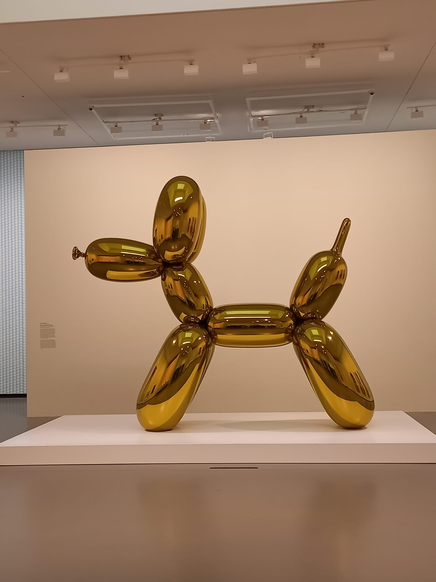 Photo Evénements Bernard Palissy